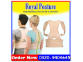 royal-posture-support-belt-in-pakistan-small-2